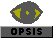 Opsis